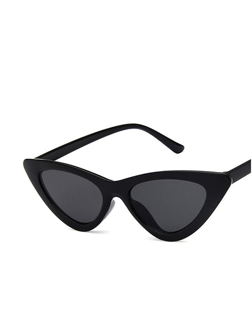 Wild sunglasses